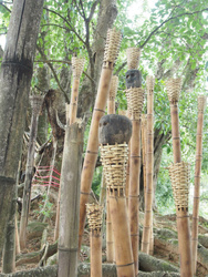 <strong>Lire la suite</strong><br>Wa - religion Wa - religion